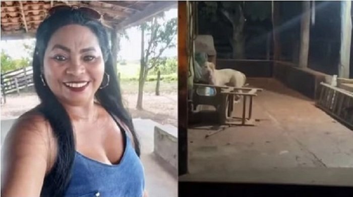 Mulher morre após ser atacada pelo próprio pitbull 